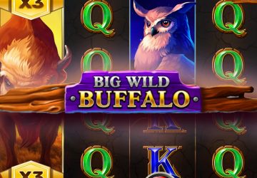 Слот Big Wild Buffalo в казино Типпи